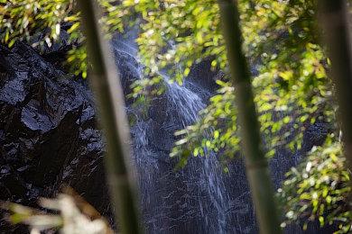 粉丝使用虚幻5引擎成功移植初代《生化奇兵》